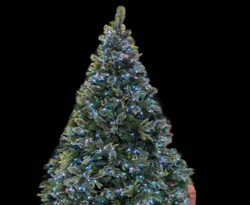 tulsa-christmas-light-installation-greenery-lights-10