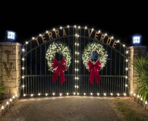 tulsa-christmas-light-installation-greenery-lights-7