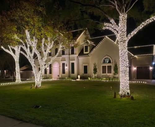 tulsa-christmas-light-installation-tree-wrappings-1