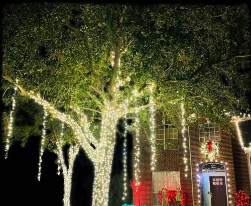 tulsa-christmas-light-installation-tree-wrappings-11