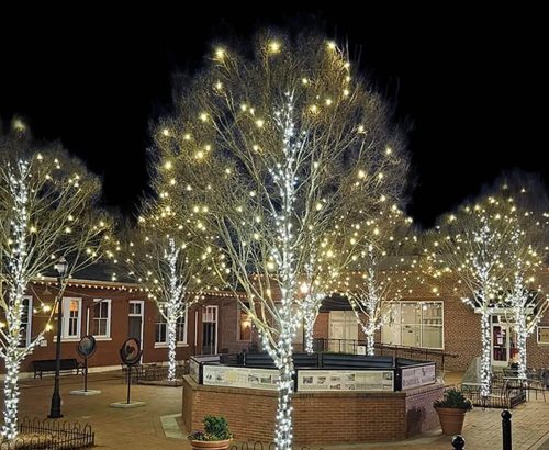 tulsa-christmas-light-installation-tree-wrappings-3