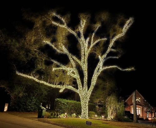 tulsa-christmas-light-installation-tree-wrappings-5