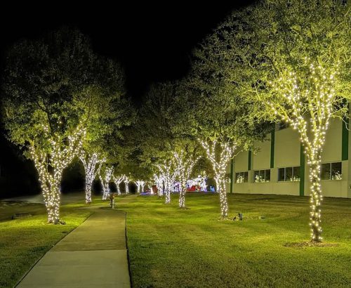 tulsa-christmas-light-installation-tree-wrappings-7