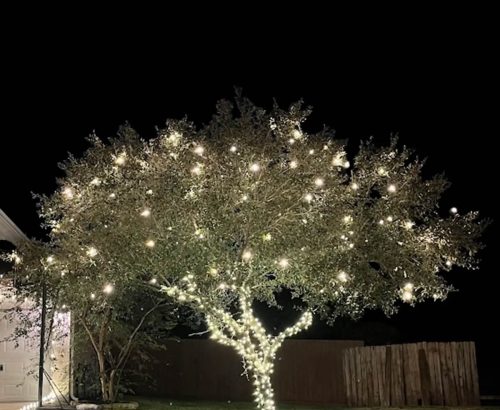 tulsa-christmas-light-installation-tree-wrappings-8